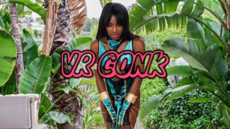 VR Conk Discount VR Porn Discounts