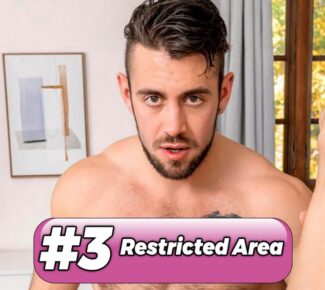 no3 best gay videos VRPDL