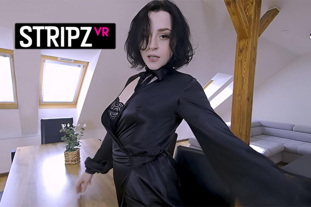 stripzvr best sites logo image